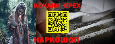 индика Можайск