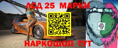 индика Можайск