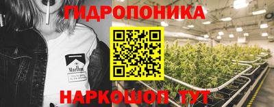 ПСИЛОЦИБИНОВЫЕ ГРИБЫ Моздок
