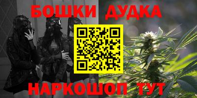 индика Можайск