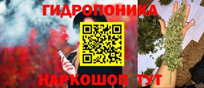 ПСИЛОЦИБИНОВЫЕ ГРИБЫ Моздок