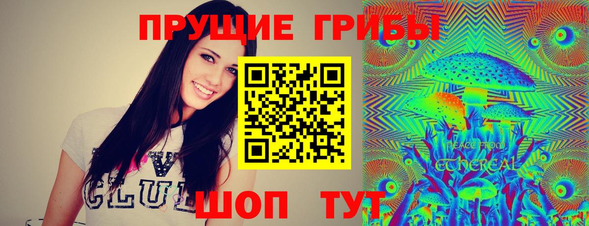 Тольятти  Галлюциногенные грибы Psilocybine cubensis  Галлюциногенные грибы GOLDEN TEACHER  Вход с VPN 